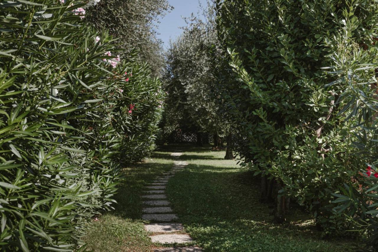 App. Mimosa Minerva Holiday Home Manerba del Garda Extérieur photo